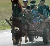 image of horse_cart #14