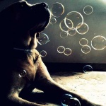 image of bubble