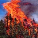 image of wildfire