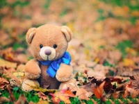 image of teddy_bear