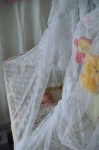 image of mosquito_net