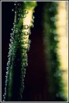 image of bubble
