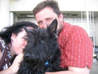image of scotch_terrier