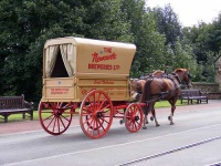 image of horse_cart #17