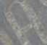 image of char