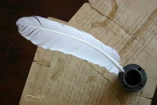 image of quill