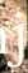 image of char