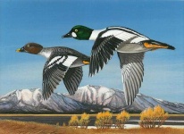 image of animal