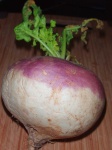 image of turnip #19