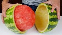 image of watermelon
