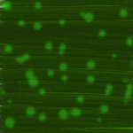 image of texture