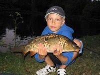 image of tench