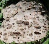 image of texture