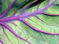 image of texture