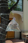 image of plastic_bag