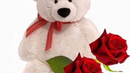image of teddy_bear