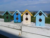 image of birdhouse