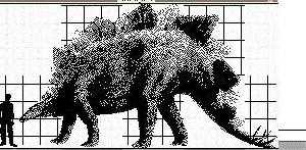 image of stegosaurus