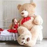 image of teddy_bear