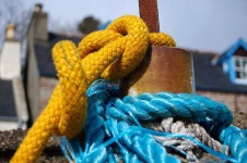 image of knot