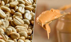 image of peanut