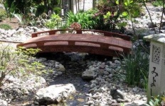 image of pond