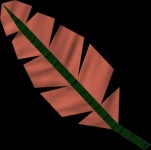 image of feather