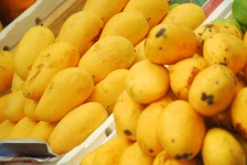 image of mango #31