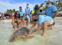 image of animal