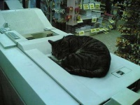 image of photocopier