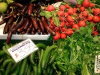 image of cucumber