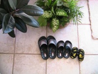 image of sandal