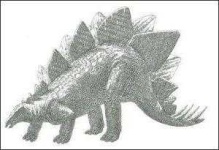 image of stegosaurus