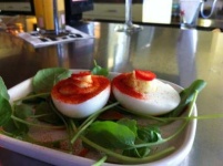 image of deviled_eggs #15