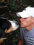 image of greater_swiss_mountain_dog