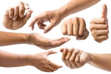 image of human_body_parts