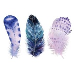 image of feather
