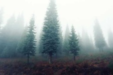 image of foggy
