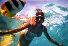 image of snorkel