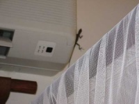 image of mosquito_net