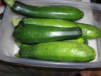 image of zucchini