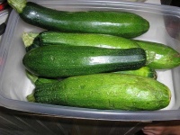 image of zucchini #30