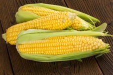 image of sweetcorn #23