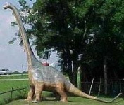 image of brontosaurus