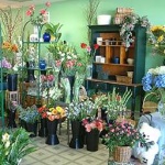 image of indoor