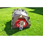 image of tent