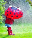 image of rain