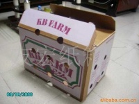 image of carton