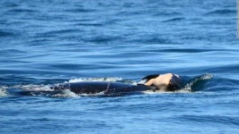 image of ocean