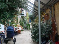 image of greenhouse